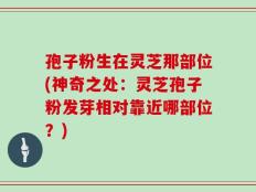 孢子粉生在灵芝那部位(神奇之处：灵芝孢子粉发芽相对靠近哪部位？)