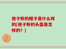 孢子粉的帽子是什么样的(孢子粉的头盔是怎样的？)