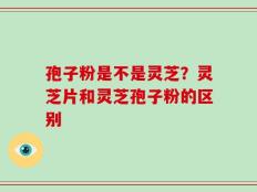 孢子粉是不是灵芝？灵芝片和灵芝孢子粉的区别