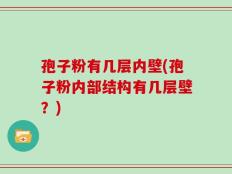 孢子粉有几层内壁(孢子粉内部结构有几层壁？)