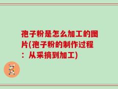 孢子粉是怎么加工的图片(孢子粉的制作过程：从采摘到加工)