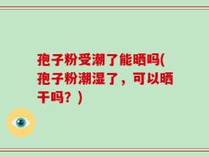 孢子粉受潮了能晒吗(孢子粉潮湿了，可以晒干吗？)