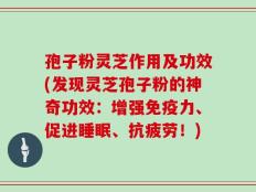 孢子粉灵芝作用及功效(发现灵芝孢子粉的神奇功效：增强免疫力、促进睡眠、抗疲劳！)