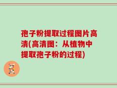 孢子粉提取过程图片高清(高清图：从植物中提取孢子粉的过程)