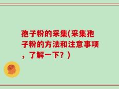 孢子粉的采集(采集孢子粉的方法和注意事项，了解一下？)