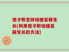 孢子粉怎样培植苔藓生长(利用孢子粉培植苔藓生长的方法)