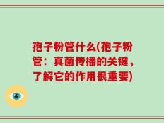 孢子粉管什么(孢子粉管：真菌传播的关键，了解它的作用很重要)