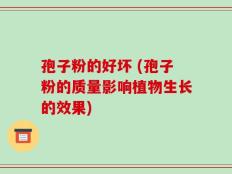 孢子粉的好坏 (孢子粉的质量影响植物生长的效果)