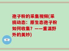 孢子粉的采集视频(采摘动态：原生态孢子粉如何收集？——重温野外的美妙)