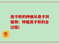 孢子粉的种植从孢子到植物：种植孢子粉的全过程)