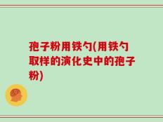 孢子粉用铁勺(用铁勺取样的演化史中的孢子粉)