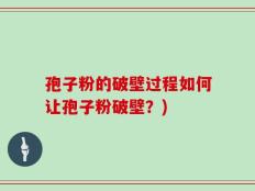 孢子粉的破壁过程如何让孢子粉破壁？)