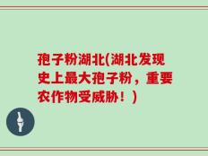 孢子粉湖北(湖北发现史上最大孢子粉，重要农作物受威胁！)
