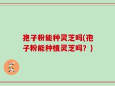 孢子粉能种灵芝吗(孢子粉能种植灵芝吗？)
