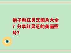 孢子粉红灵芝图片大全？分享红灵芝的美丽照片？