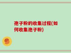 孢子粉的收集过程(如何收集孢子粉)