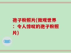 孢子粉照片(微观世界：令人惊叹的孢子粉照片)