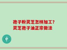 孢子粉灵芝怎样加工？灵芝孢子油正宗做法