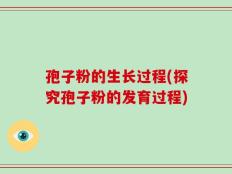 孢子粉的生长过程(探究孢子粉的发育过程)