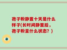 孢子粉静置十天是什么样子(长时间静置后，孢子粉呈什么状态？)
