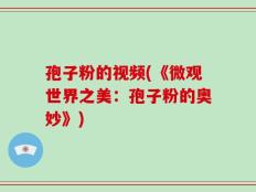 孢子粉的视频(《微观世界之美：孢子粉的奥妙》)