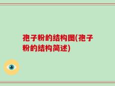 孢子粉的结构图(孢子粉的结构简述)