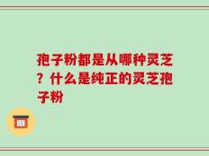 孢子粉都是从哪种灵芝？什么是纯正的灵芝孢子粉
