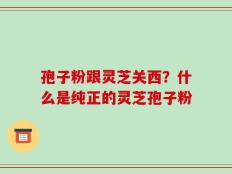 孢子粉跟灵芝关西？什么是纯正的灵芝孢子粉