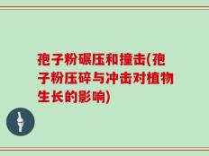 孢子粉碾压和撞击(孢子粉压碎与冲击对植物生长的影响)