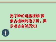 孢子粉的讲座视频(探索古植物的孢子粉，揭示远古自然历史)