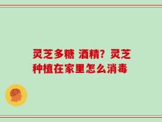 灵芝多糖 酒精？灵芝种植在家里怎么消毒