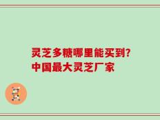 灵芝多糖哪里能买到？中国最大灵芝厂家