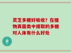 灵芝多糖好吸收？在植物真菌类中提取的多糖对人体有什么好处