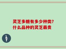 灵芝多糖有多少种类？什么品种的灵芝最贵