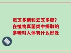 灵芝多糖和云芝多糖？在植物真菌类中提取的多糖对人体有什么好处