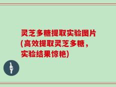 灵芝多糖提取实验图片(高效提取灵芝多糖，实验结果惊艳)