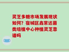 灵芝多糖市场发展现状如何？宿城区鑫常达菌类培植中心种植灵芝靠谱吗