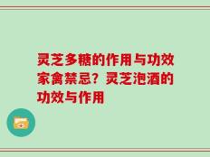 灵芝多糖的作用与功效家禽禁忌？灵芝泡酒的功效与作用