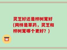 灵芝好还是桦树茸好 (同样是草药，灵芝和桦树茸哪个更好？)