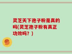 灵芝天下孢子粉是真的吗(灵芝孢子粉有真正功效吗？)
