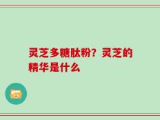 灵芝多糖肽粉？灵芝的精华是什么