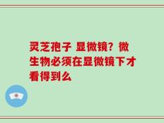 灵芝孢子 显微镜？微生物必须在显微镜下才看得到么