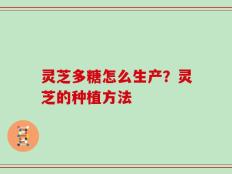 灵芝多糖怎么生产？灵芝的种植方法