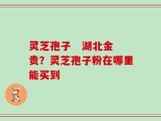 灵芝孢子   湖北金贵？灵芝孢子粉在哪里能买到