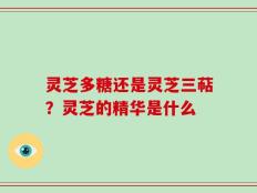 灵芝多糖还是灵芝三萜？灵芝的精华是什么