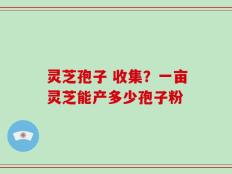 灵芝孢子 收集？一亩灵芝能产多少孢子粉