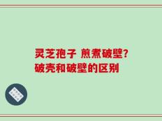 灵芝孢子 煎煮破壁？破壳和破壁的区别