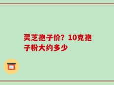 灵芝孢子价？10克孢子粉大约多少