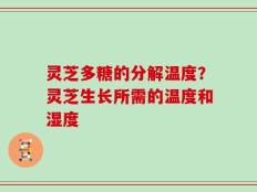 灵芝多糖的分解温度？灵芝生长所需的温度和湿度