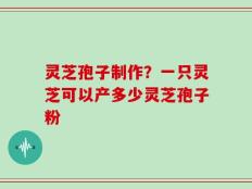 灵芝孢子制作？一只灵芝可以产多少灵芝孢子粉